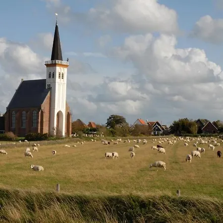 Homestay Texelzon